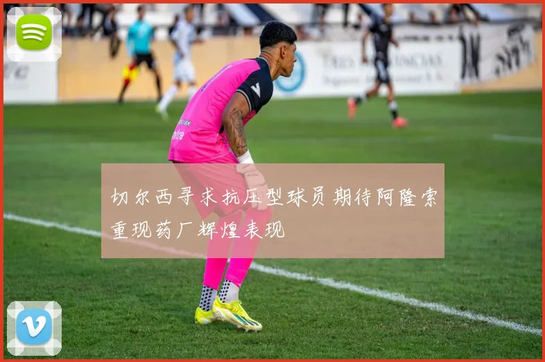 切尔西寻求抗压型球员期待阿隆索重现药厂辉煌表现