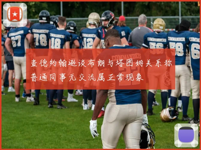 查德约翰逊谈布朗与塔图姆关系称普通同事无交流属正常现象